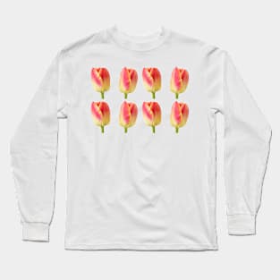 Tulipa 'Candy Corner' Triumph Tulip Long Sleeve T-Shirt